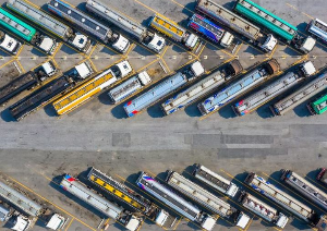 Organization Website